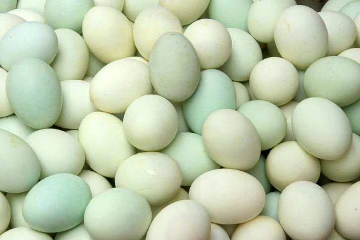 Duck Eggs